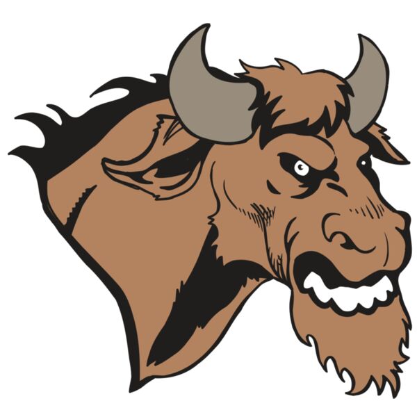 AR5 BULL 09 RQC Thumbnail