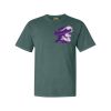 Comfort Colors Adult Heavyweight Tee Thumbnail