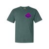 Comfort Colors Adult Heavyweight Tee Thumbnail