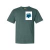 Comfort Colors Adult Heavyweight Tee Thumbnail