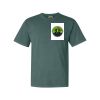 Comfort Colors Adult Heavyweight Tee Thumbnail