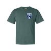 Comfort Colors Adult Heavyweight Tee Thumbnail