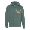 Comfort Colors Adult Heavyweight Hoodie Thumbnail