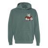 Comfort Colors Adult Heavyweight Hoodie Thumbnail